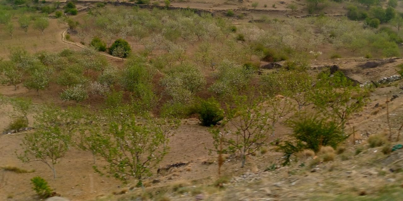 जुम्लामा हुने हिमाली संवादको सम्पूर्ण तयारी पूरा