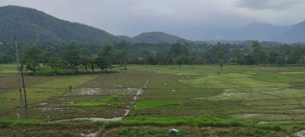 घट्यो घरजग्गा कारोबार, माघमा ३ अर्ब ८७ करोड राजस्व सङ्कलन