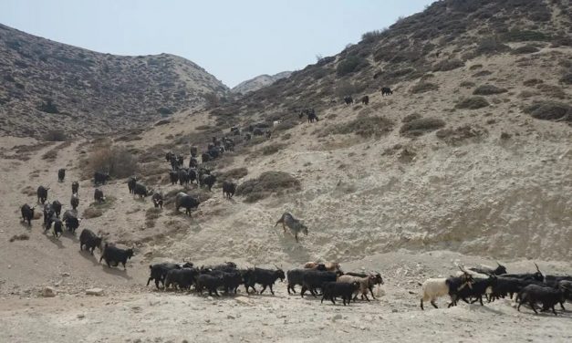 मुस्ताङमा लेक लागेर एक वर्षमा ११ पर्यटकको मृत्यु