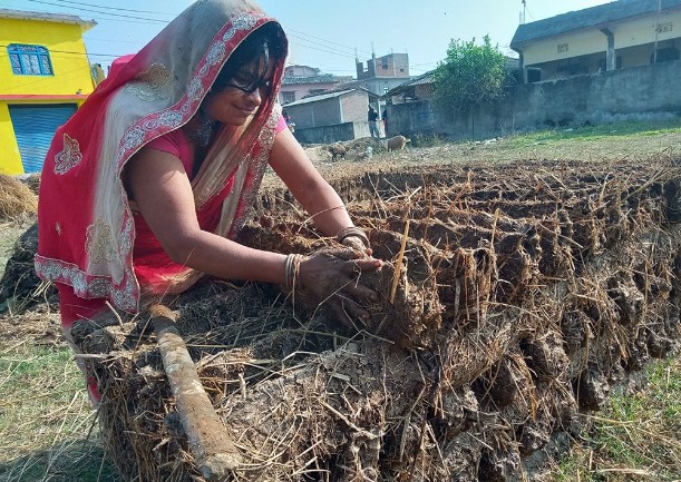 प्रचण्ड गर्मीमा ‘गुइँठा’ बनाउँदै महोत्तरीका गृहिणी