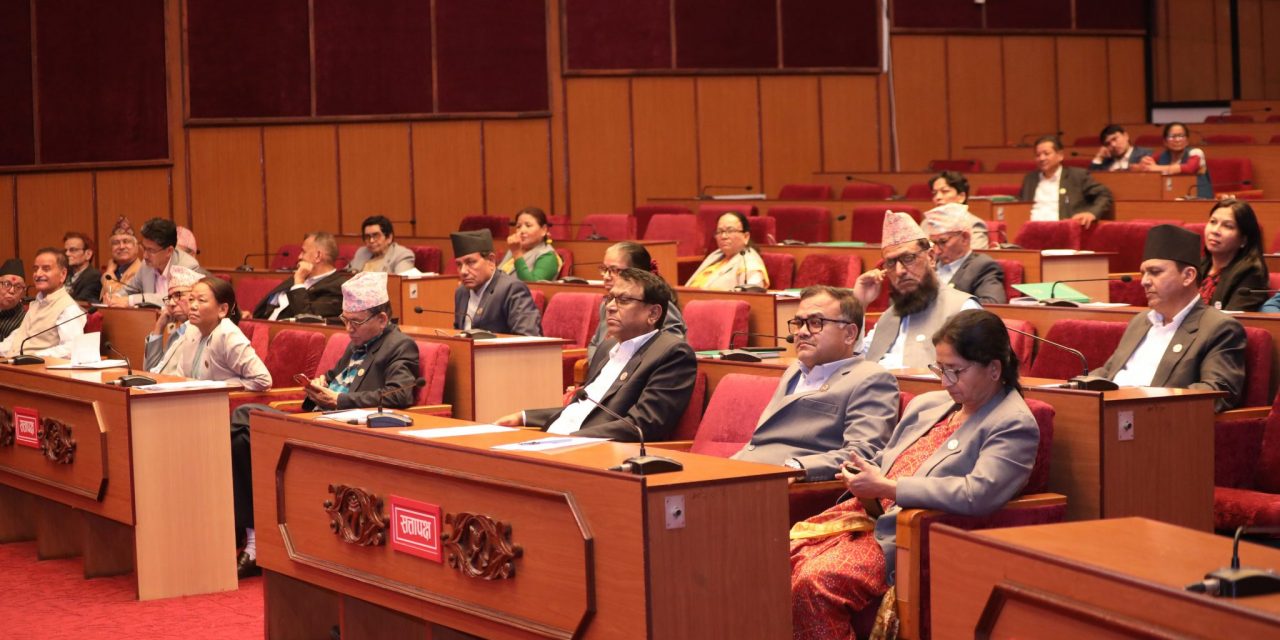 ‘सांसदको सङ्ख्या घटाऔँ, संसद् बाहिरबाट मन्त्री नियुक्त गरौँ’