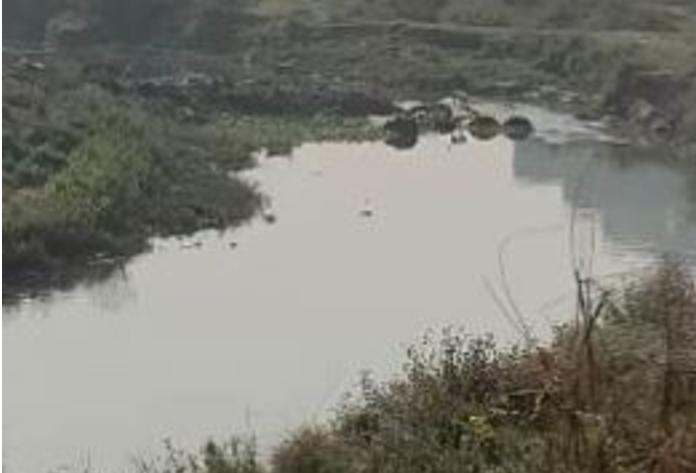 उद्योगबाट निस्किएको प्रदूषित पानीले रामग्राम र पाल्हीनन्दन दुर्गन्धित