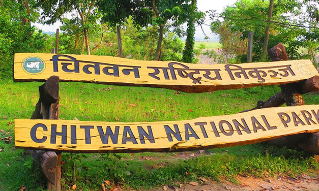 चितवन निकुञ्जद्वारा नियमविपरीत काम गर्ने ६५ जनालाई कारबाही