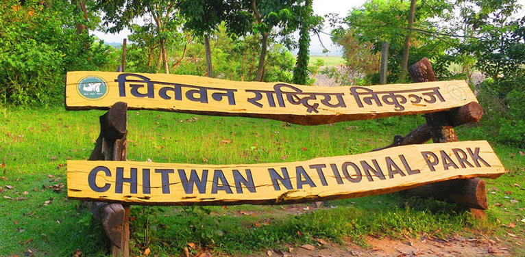 चितवन निकुञ्जद्वारा नियमविपरीत काम गर्ने ६५ जनालाई कारबाही