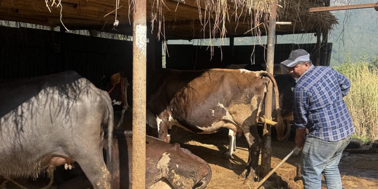 दूध बेचेर वार्षिक ३० लाख आम्दानी