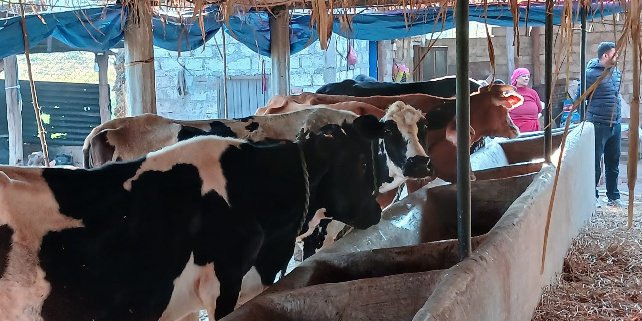 व्यावसायिक पशुपालनबाट वार्षिक १२ लाख आम्दानी