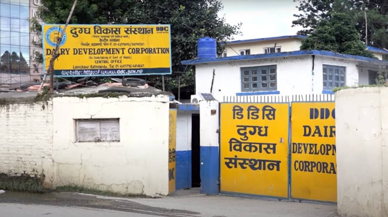 दुग्ध विकास संस्थानले तिर्‍यो ३१ वर्षको सम्पत्ति कर