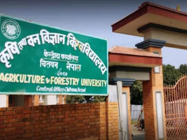 ‘थेसिस’को नतिजा राकिँदा विद्यार्थी समस्यामा