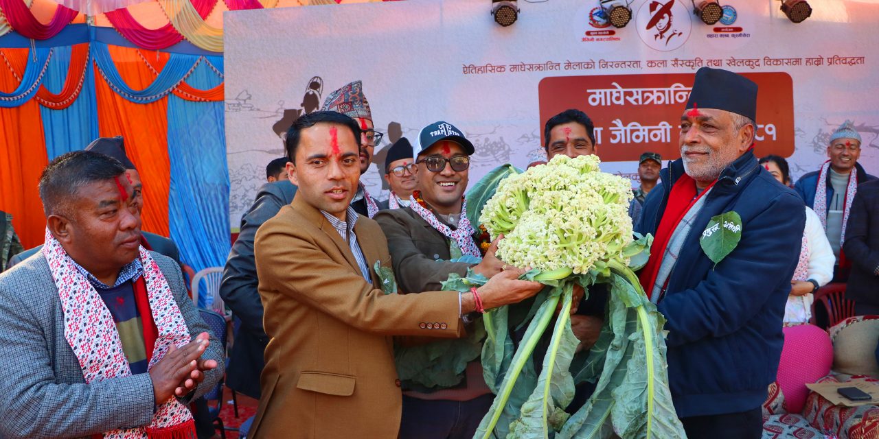 जब कृषिमन्त्रीलाई नौ किलोको काउली दिइयो…