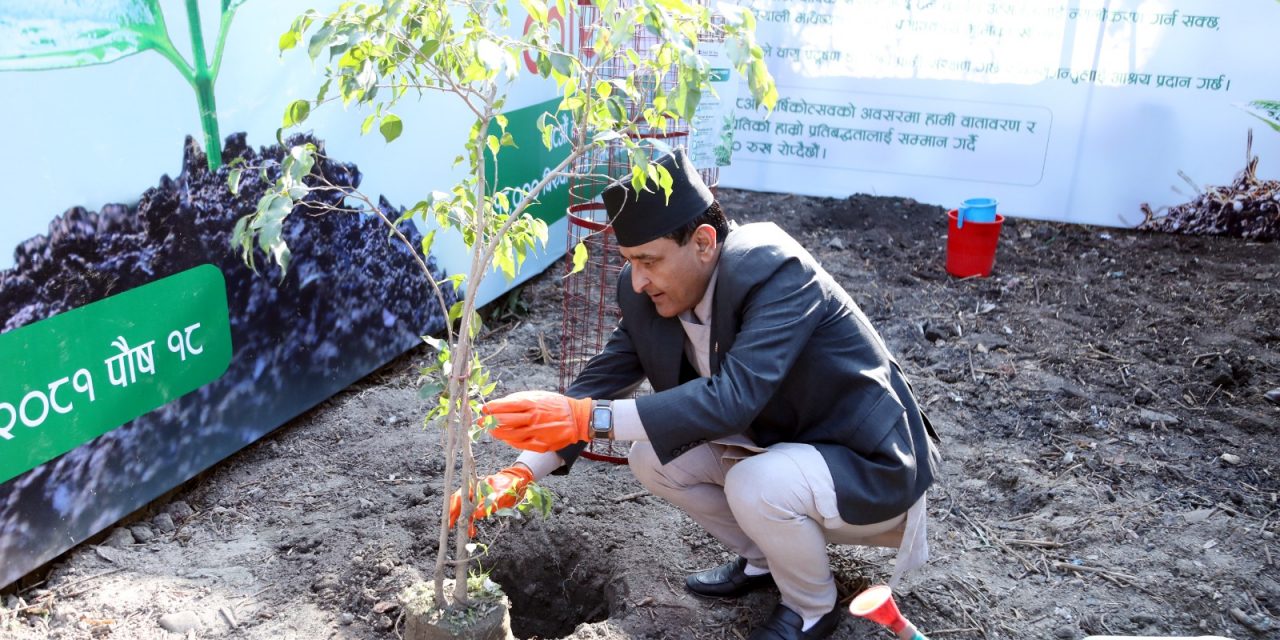 ग्लोबल आइएमई बैंकद्वारा वार्षिकोत्सवको अवसरमा १८ हजार वृक्षारोपण गर्ने घोषणा