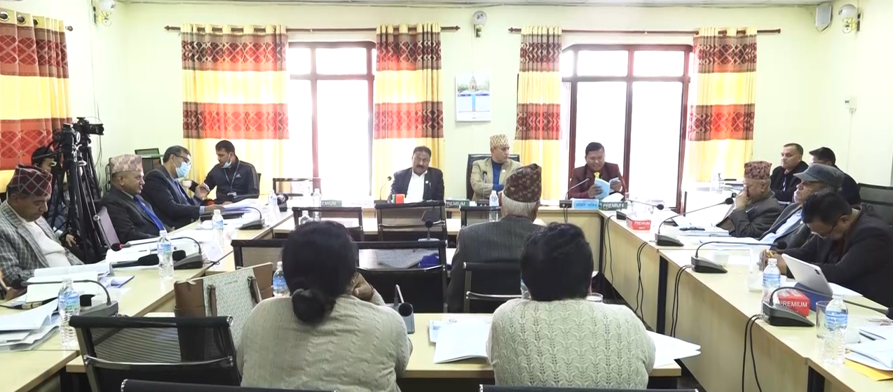 तीनकुने आसपासको क्षेत्रमा कुनै सभा, प्रदर्शन र धर्ना गर्न नदिन सरकारलाई निर्देशन