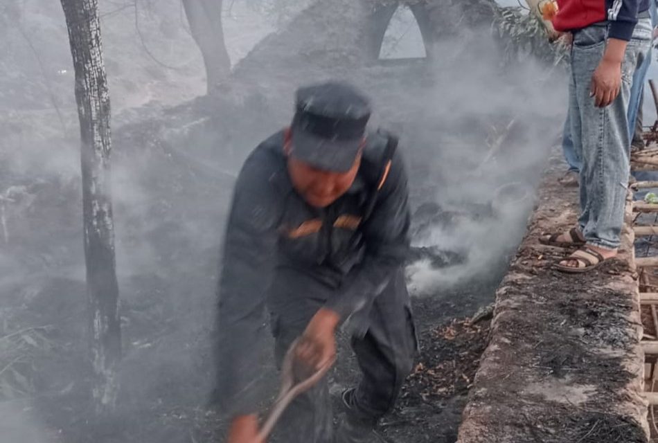 खोटाङको दुर्छिम गाउँमा लागेको डढेलो नियन्त्रणमा