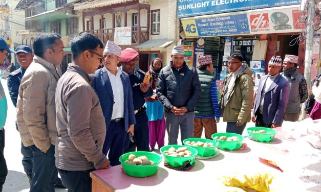 जुम्लामा आलु प्रदर्शनी मेला