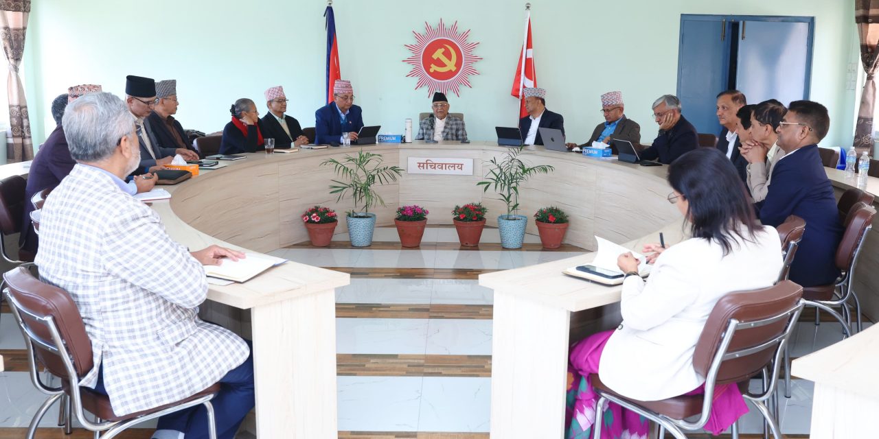 एमालेको निष्कर्ष : मुलुकलाई पश्चगामी दिशामा फर्काउने कुनै पनि प्रयास सफल हुँदैन