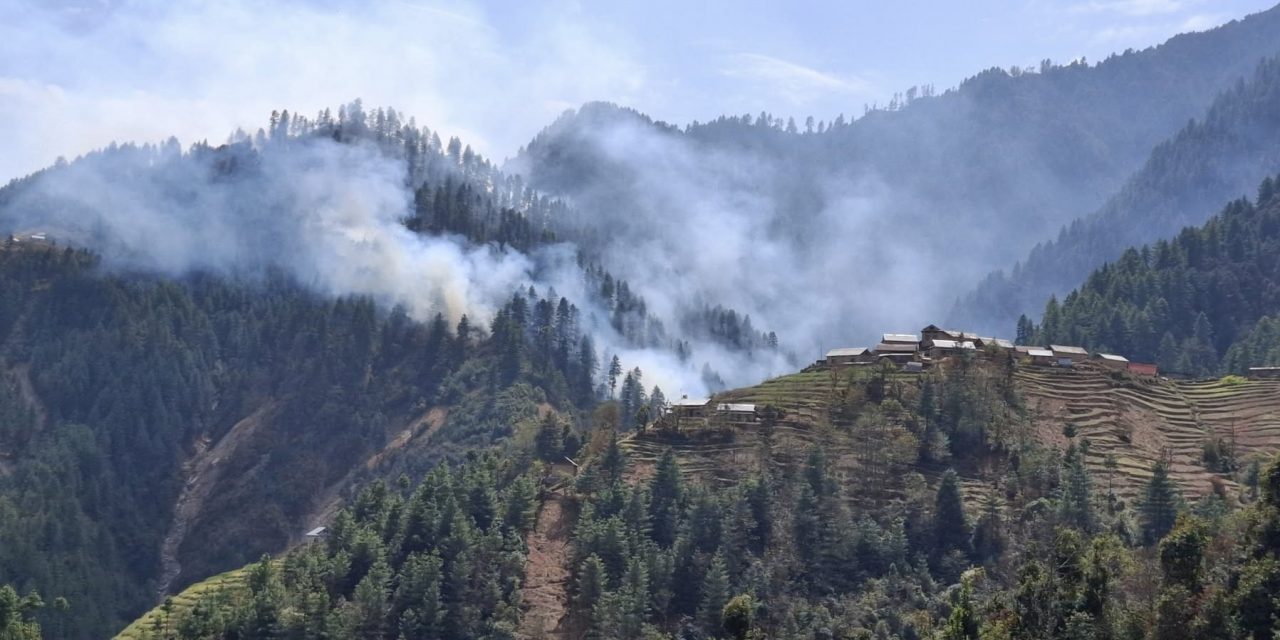 गोरखामा डढेलो नियन्त्रण प्रयास : पातपतिङ्गर सङ्कलन गर्नेलाई नगद पुरस्कार