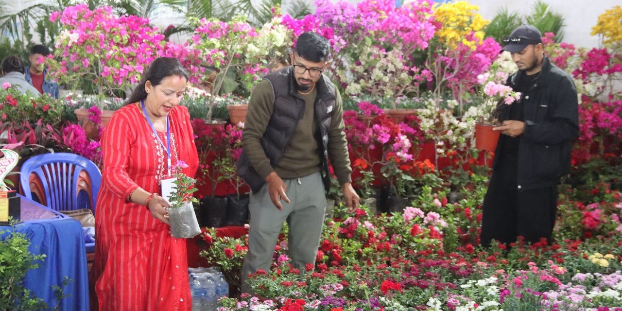 फूल मेलामा रमाइरहेका ‘फूलप्रेमी’