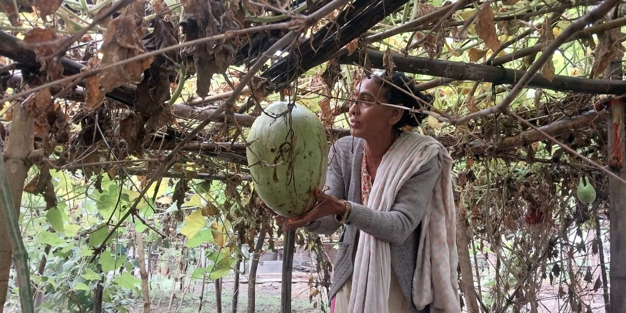 लौका बेचर मासिक ४० हजार आम्दानी
