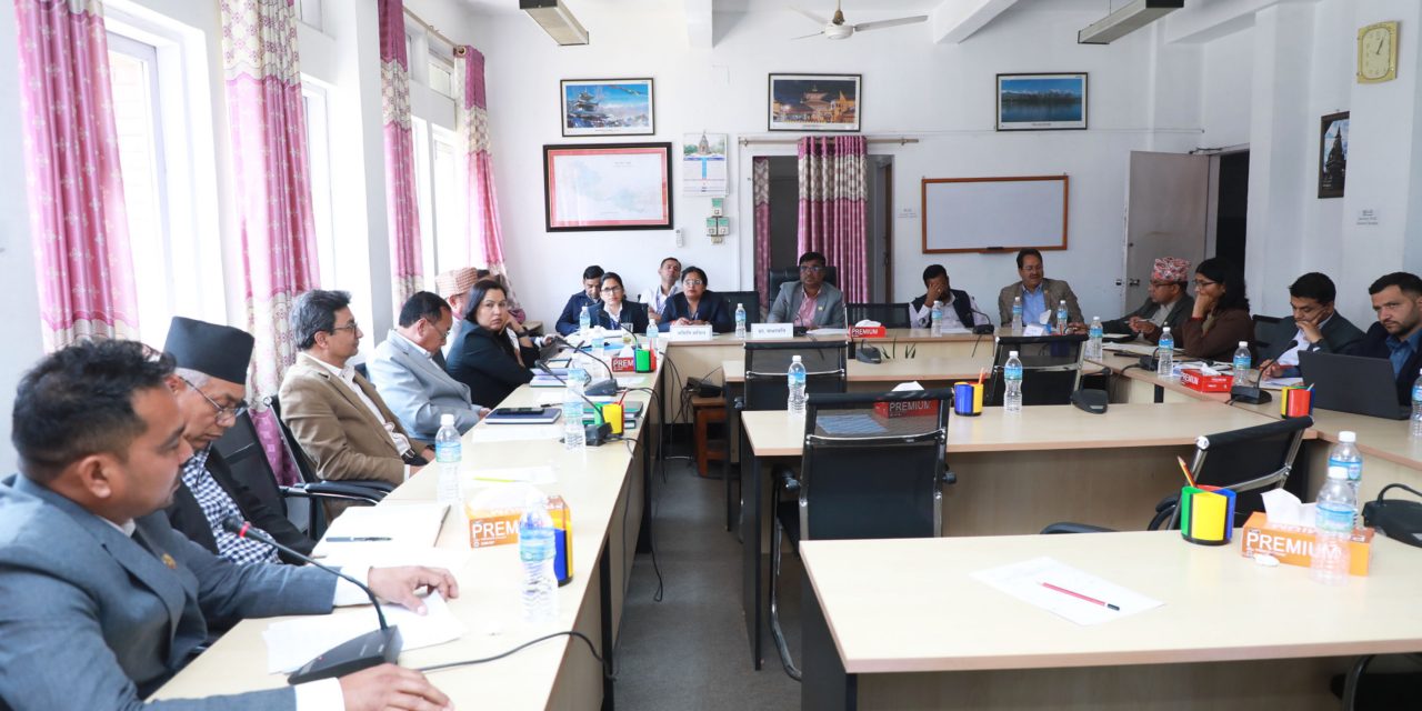 नेपाल र इन्डोनेशियाबीच द्विपक्षीय हवाई सेवा सम्झौताको तयारी