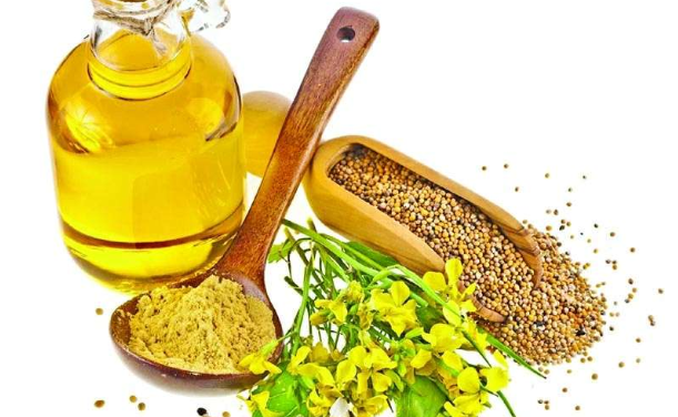 कूल निर्यातमा भटमास तेलको हिस्सा एक तिहाई, नौ महिनामा साढे ६२ अर्ब भन्दा बढीको निर्यात