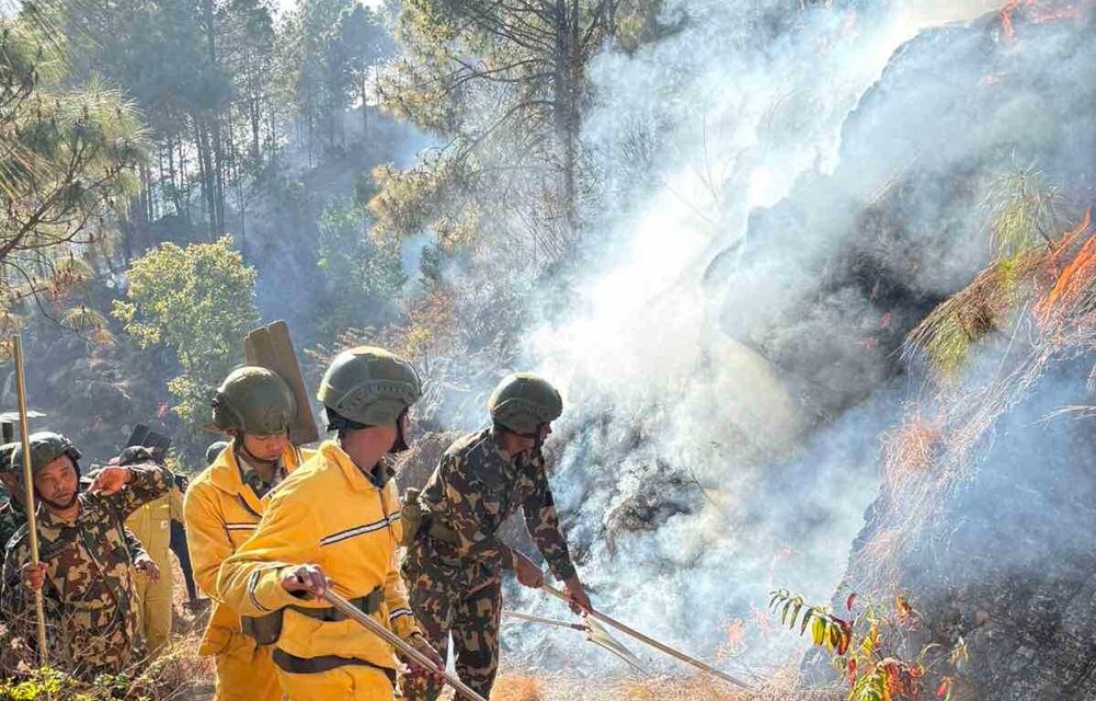पाल्पामा डढेलोले सखाप हुँदै जङ्गल