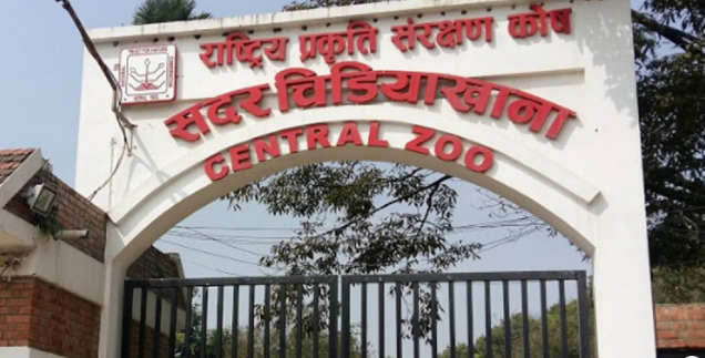 चिडियाखानामा सन्ध्याकालीन सेवा सुरु भएपछि बढे पर्यटक