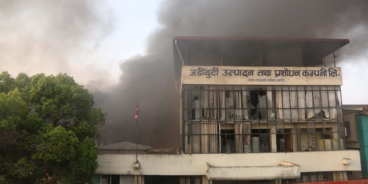 ‘जडीबुटी कम्पनी चाँडै बौरिने छ’