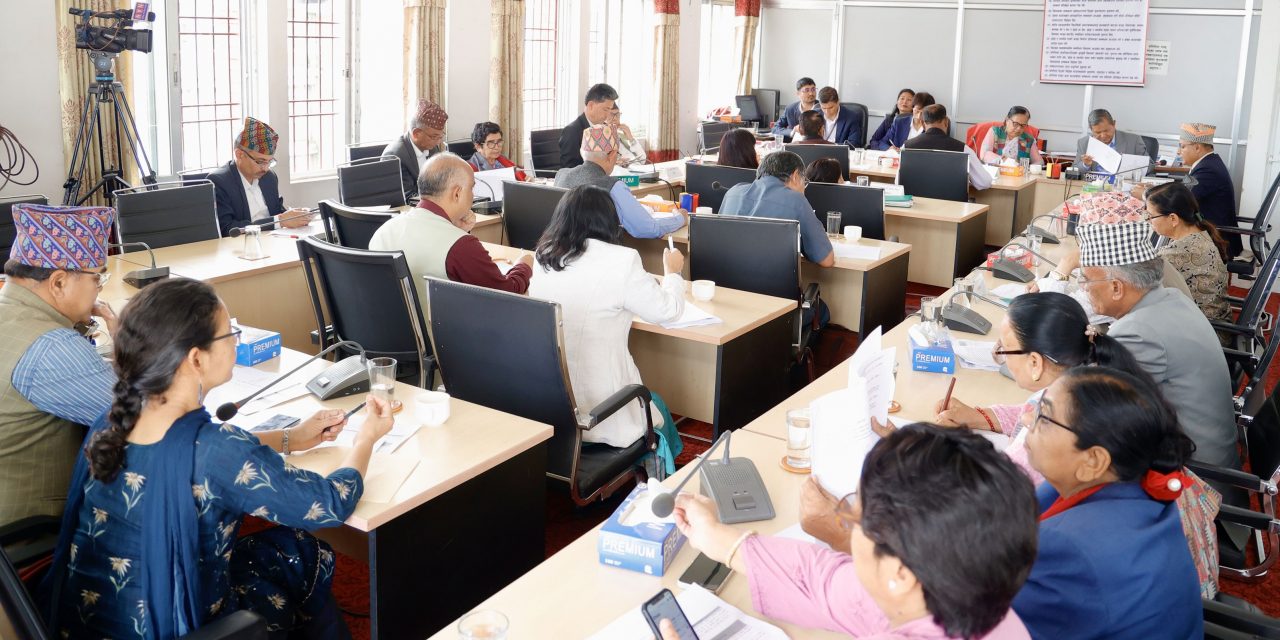 संवैधानिक परिषद्लाई अनिर्णयको बन्दी बनाउन हुँदैन : मन्त्री गुरुङ