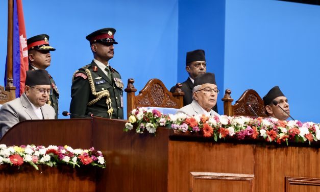 धौवादी फलाम कम्पनी र सेजलाई सार्वजनिक–निजी साझेदारीमा सञ्चालन गरिने