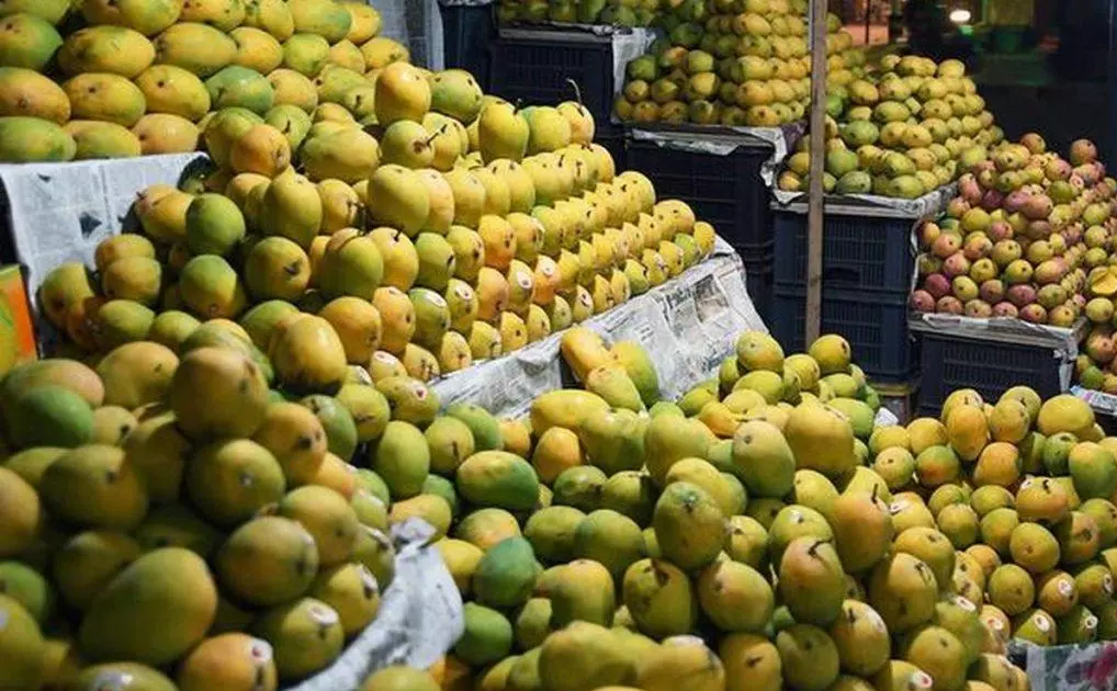 यस वर्ष सिरहामा आँप उत्पादनमा कमी