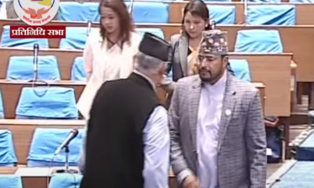 सदनबाट बाहिरिए राप्रपाका सांसद