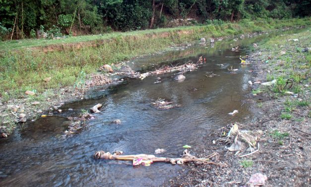 फाँट र खोला किनारमा देखिन छाडे बकुल्ला